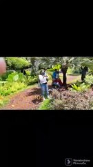 Jurasic mile bareng teman singapore holiday