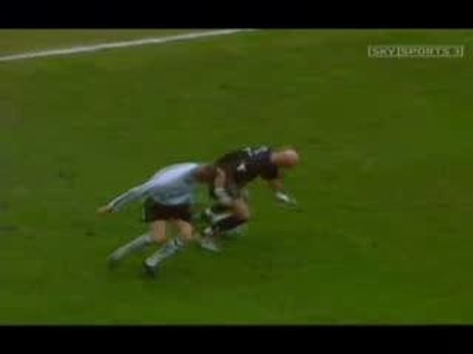 Barthez panna