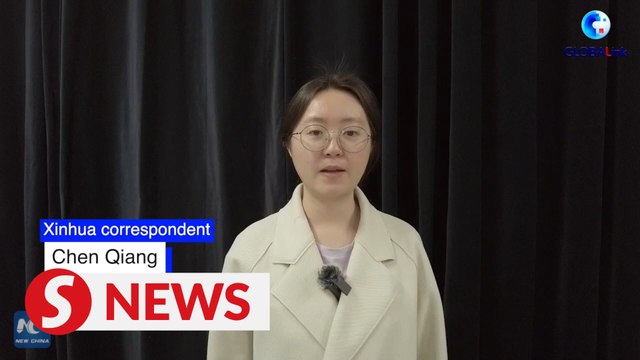 Next round of Russia-Ukraine talks to take place in coming days