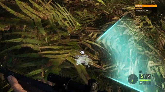 theHunter_ Call of the Wild Chapter 67! Roosevelt Elk, Blacktail Deer and BlackBear!