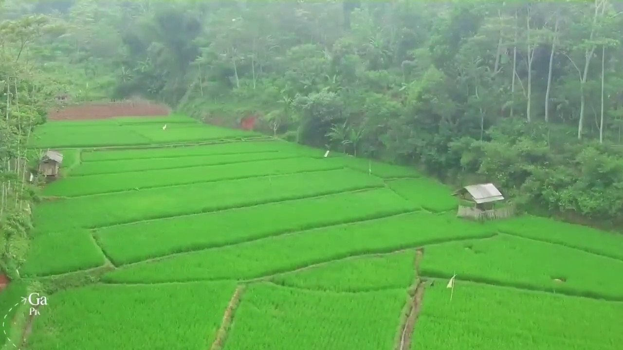 Siapa Itu Covid ?