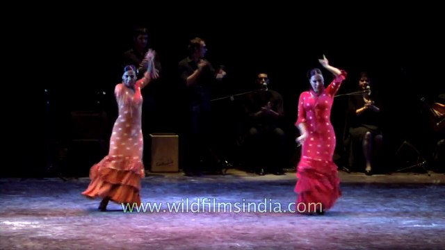 Awesome flamenco performance by Spanish dancers in India