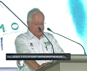 Malaysia, Indonesia will retaliate against countries which boycott palm oil