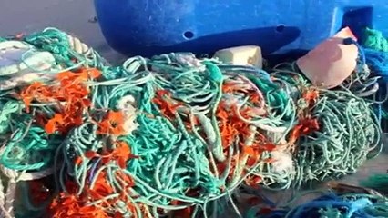 Plastic-free lobster pot created in Warrnambool as part of Victorian environmental fight in Warambool