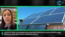 'Impacto Verde': Buenas prácticas en el desarrollo de las plantas fotovoltaicas
