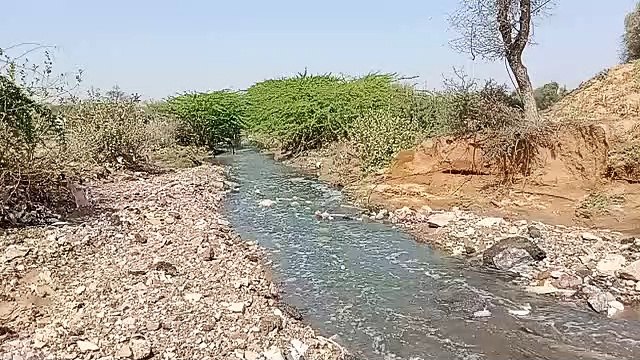 राजस्थान में यहां बांध टूटने से खेतों व घरों में घुसा पानी, रास्ते पर बैठे ग्रामीण