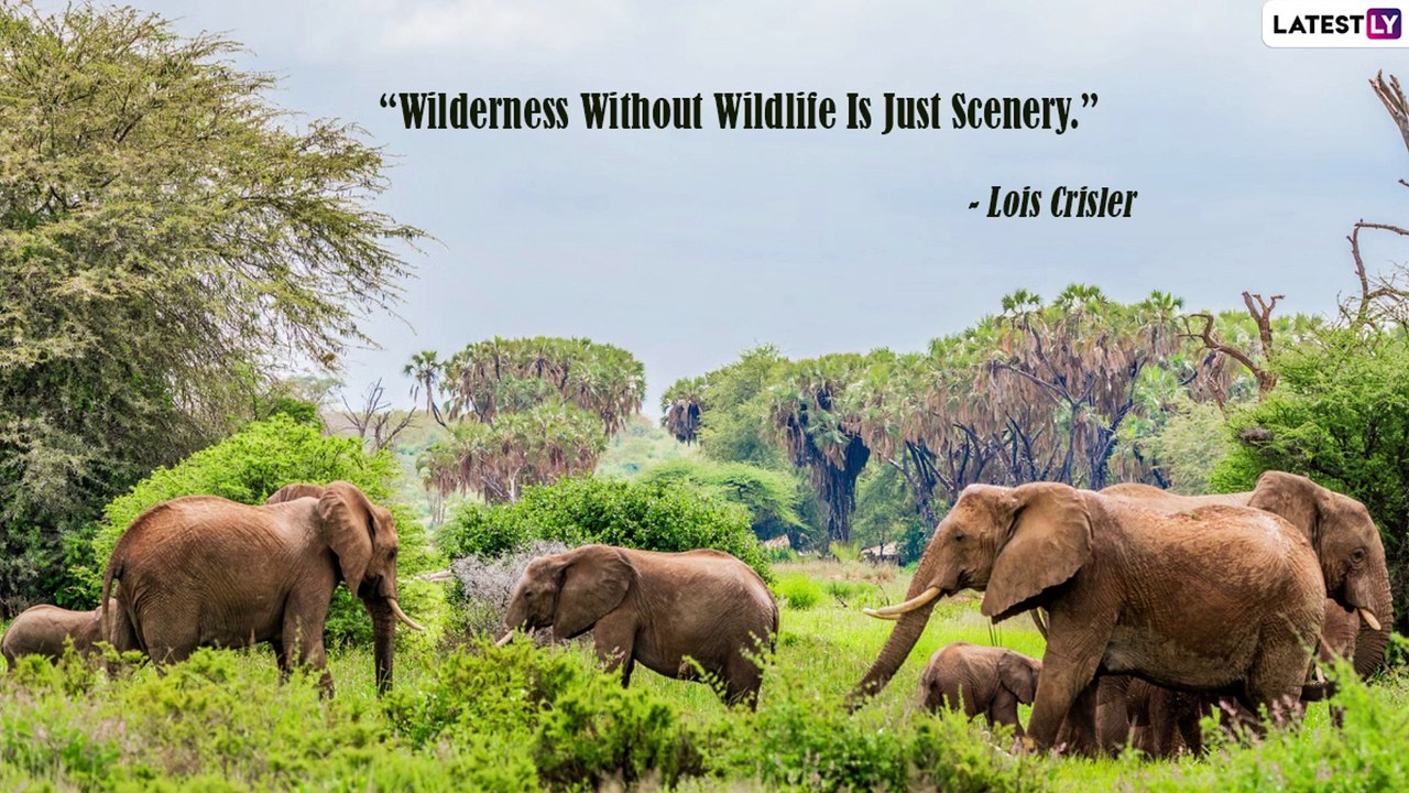 World Wildlife Day 2022: Quotes, Messages and I...