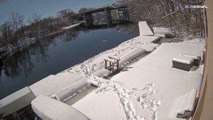 شاهد: شاحنة بريد تقع في النهر بعد انحرافها عن الجسر