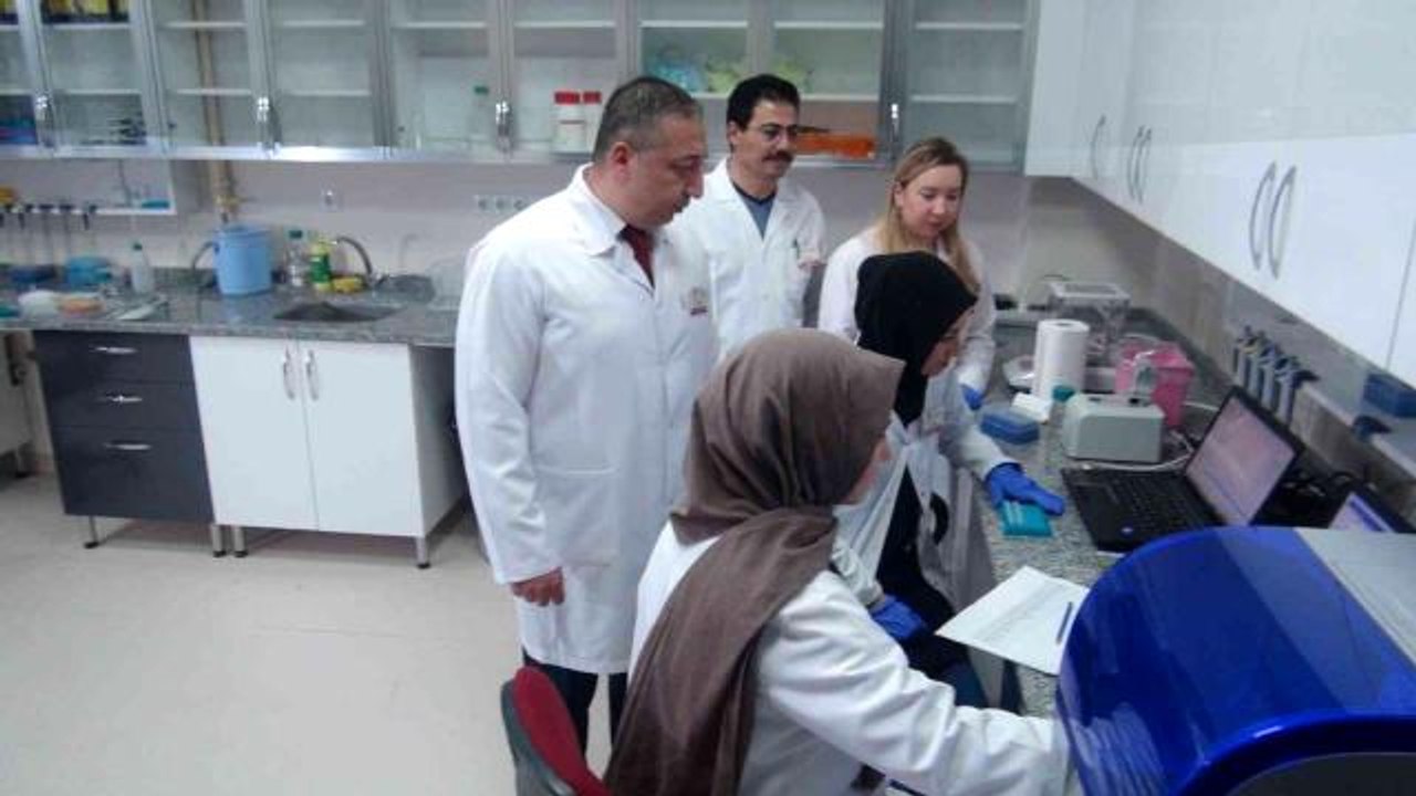 Patatesin "parmak izi" çıkarılıp genetik tabanı oluşturulacak