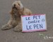 Dogs join fight against far-right ahead of French election