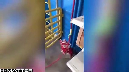 BEST MEMES COMPILATION FEBRUARY 2022