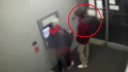 Milano, la baby gang "Z4" che terrorizzava Corvetto e Calvairate (02.03.22)