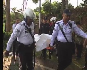 Student dies after hit by tree branch