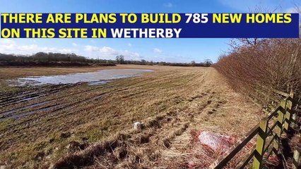 Deep look at plans for 785 homes on new Swinnow Park estate in land near Wetherby Racecourse