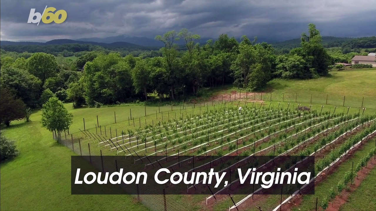 Wine Country Around the United States That’s Not Named Napa or Sonoma