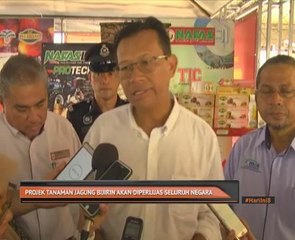 Projek tanaman jagung bijirin akan diperluas seluruh negara