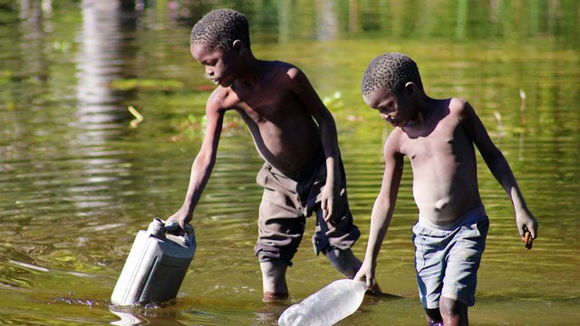 5 raisons de suivre la formation : Water-borne infectious diseases