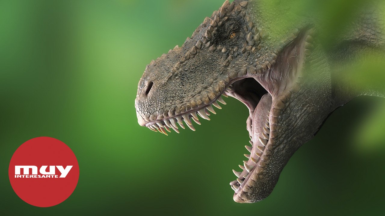 El Tyrannosaurus rex podría ser hasta tres especies diferentes