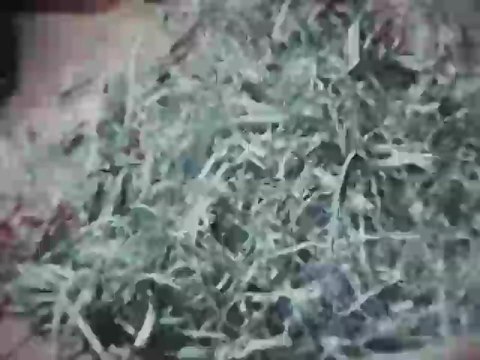 Exposition Pierre & Gilles