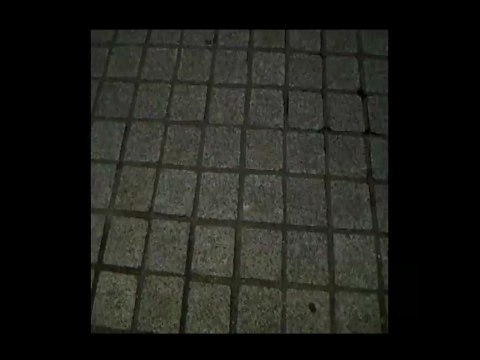 Fonelle à l'entrée du défilé Balmain