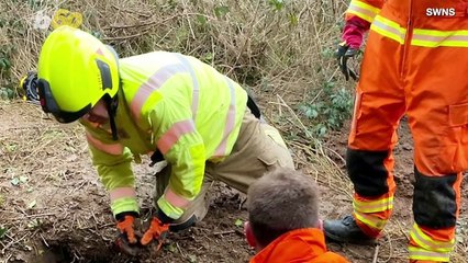 This Dog Was Rescued From  Underground Tunnels