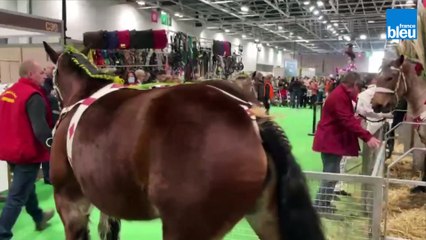 Les animaux préférés des enfants au Salon de l'agriculture