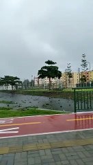 Lixo acumulado em Canal que corta o Parque Rachel de Queiroz