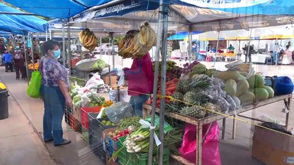 ¡Ver para creer! En la mira de la SAG, apoyo para el despegue del Sector Agroproductivo