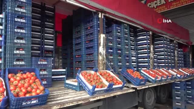 Rusya-Ukrayna savaşı domatesi vurdu: Kilosu 25 liradan 4 liraya düştü