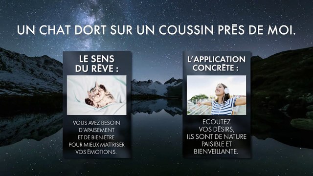 INTERPRÉTATION DES RÊVES : RÊVER DE CHAT