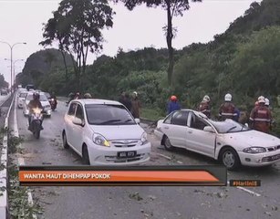 Wanita maut dihempap pokok