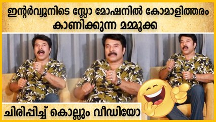 സ്ലോമോഷൻ ആണോ പടം എന്ന് ചോദിച്ചപ്പോൾ സ്ലോമോഷനിൽ കോക്രി കാണിച്ചു മമ്മൂക്ക | Filmibeat Malayalam