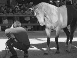 Les hommes et les chevaux