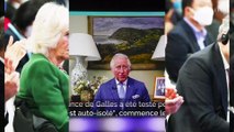 Le prince Charles positif au Covid-19 : Elisabeth II est sous observation