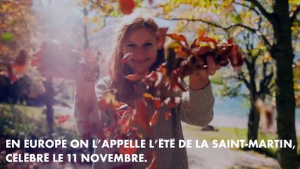 LES 4 SAISONS : L'AUTOMNE