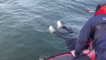 Sahil Güvenlik denize düşen yaşlı kadını böyle kurtardı
