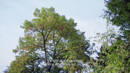 Fashion Week : suivez le défilé Dior en direct