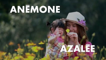 PRENOMS : Notre sélection de prénoms de fleurs