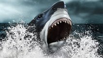 Battlefield 4 : l'easter egg du requin Mégalodon découvert dans le DLC Naval Strike