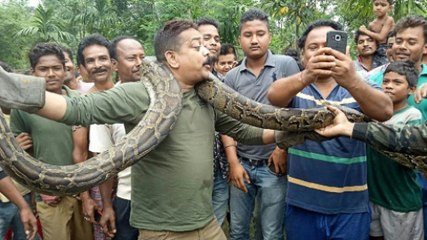 Man nearly dies after attempting to take a selfie with a python