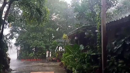 Hujan Angin di Malaysia: Cuaca Ekstrem Setiap Hari