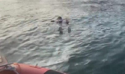 DENİZE DÜŞEN YAŞLI KADINI SAHİL GÜVENLİK KURTARDI