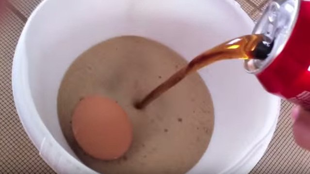 One man soaked an egg in coke for a whole year and the result was surprising