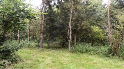 Can You Find the Six Soldiers Hidden in This Photo?