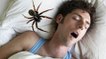 This is how many spiders you really swallow in your sleep