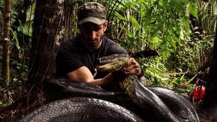 Watch this naturalist get swallowed whole by an anaconda