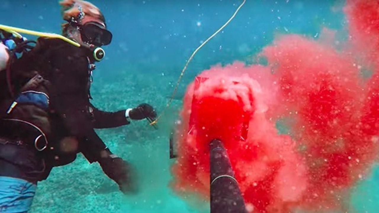 This video shows the up close and personal reaction sharks have to human blood