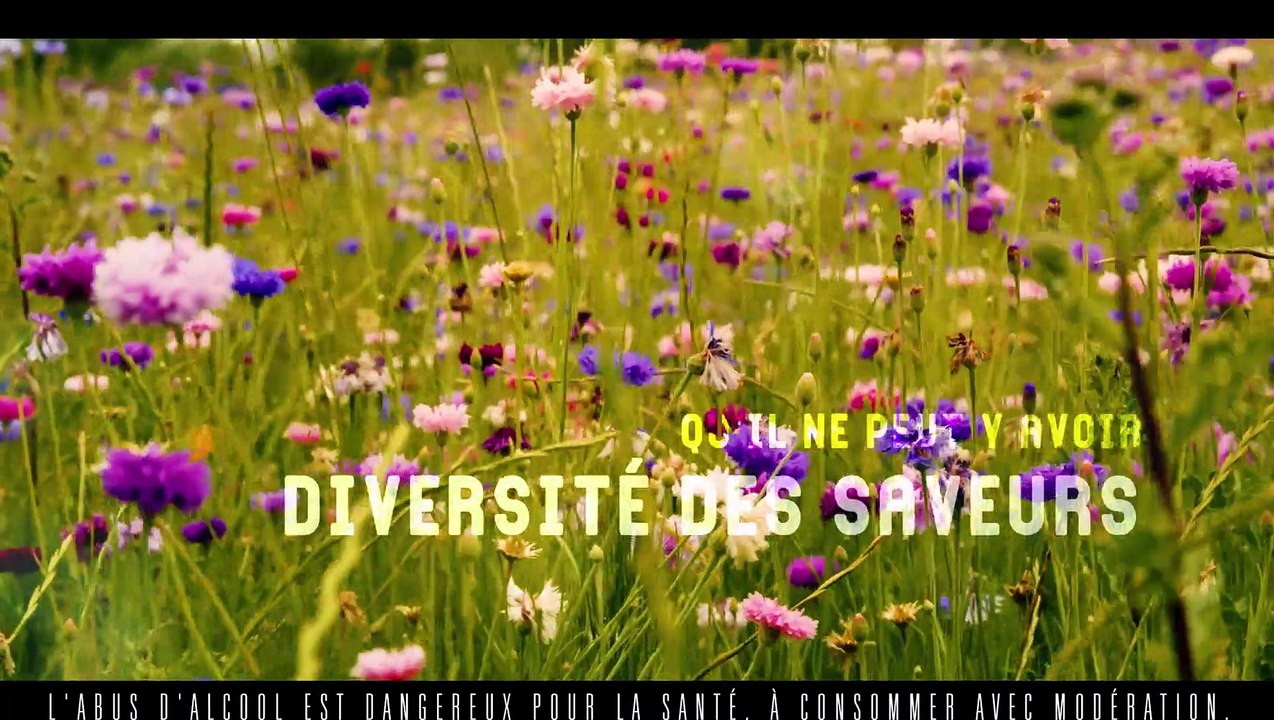 OS Inter Rhône - Viticulture : dans les coulisses des Côtes du Rhône