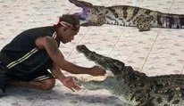 This Crocodile Trainer's Stunt Went Horribly Wrong - And It Was All Caught On Camera