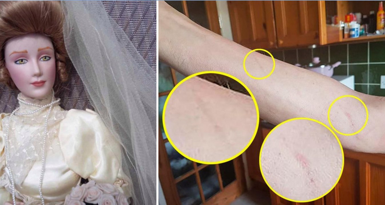 After buying a 'haunted' doll on eBay they had witnessed some truly paranormal events